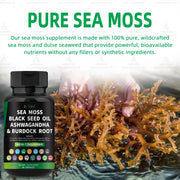 Boost Immunity Gut and Energy Super Food Customized Seaweed Supplement - Biyode