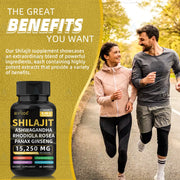 Natural Himalayan brain memory immune support shilajit capsule - Biyode