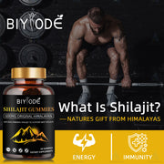 Pure himalayan shilajit immune support gummies - Biyode