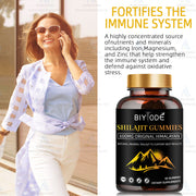 Pure himalayan shilajit immune support gummies - Biyode