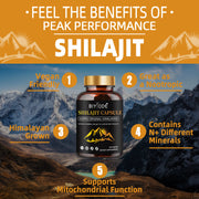 600mg Shilajit Himalayan Capsules with Organic Shilajit Powder Natural Fulvic Acid - Biyode